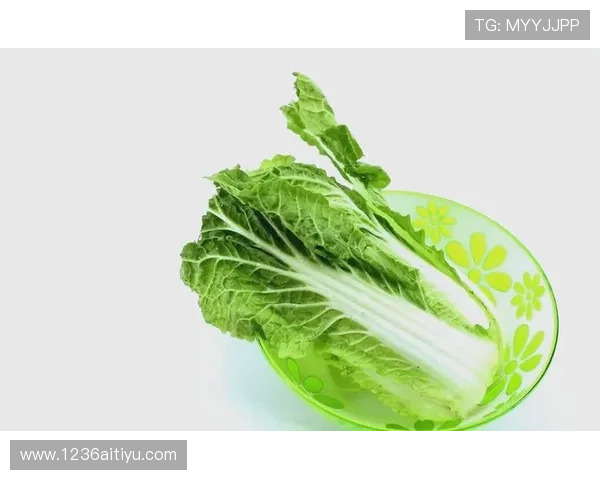 全面解析白菜网项目集合的优势与应用